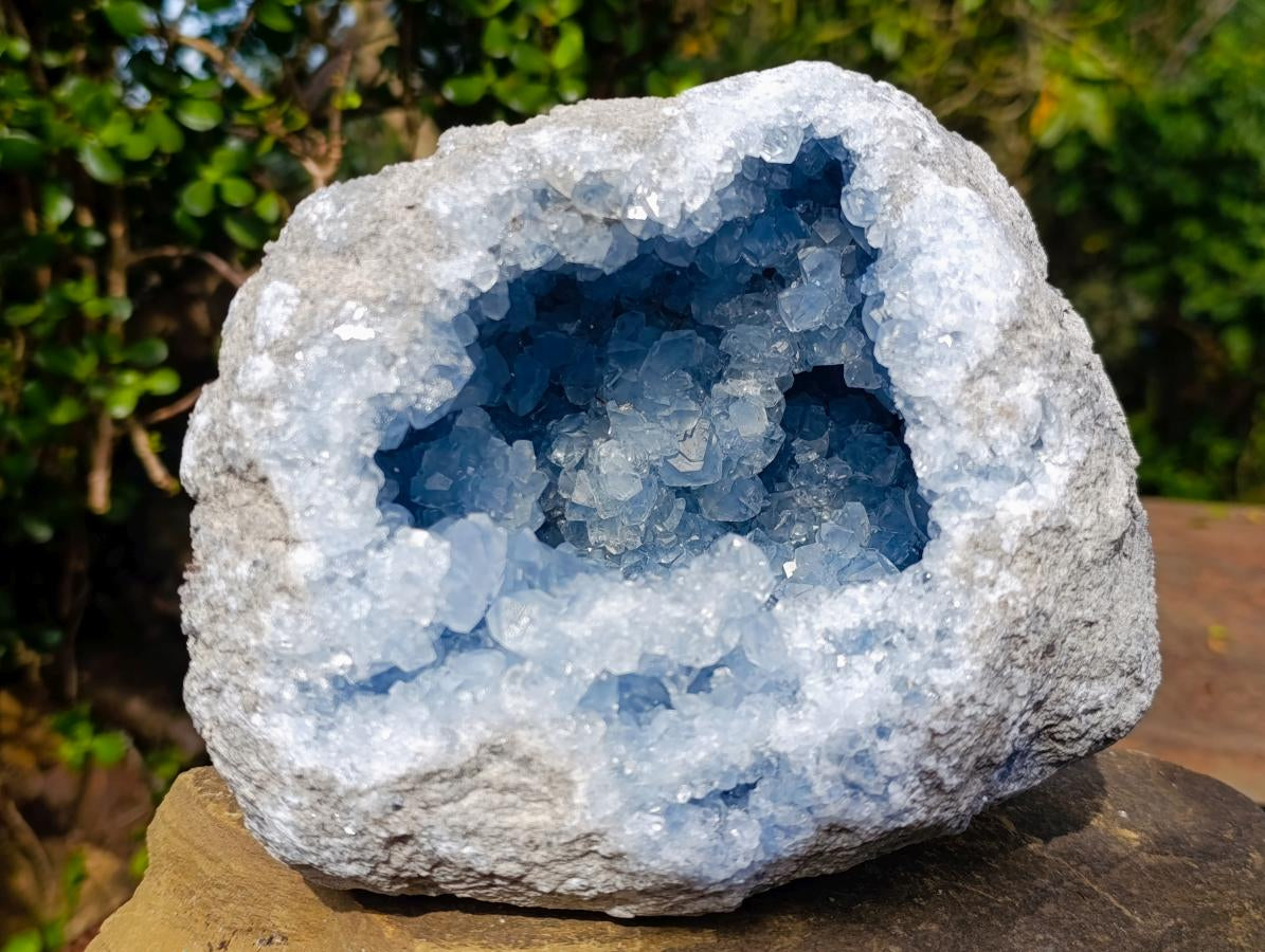 Natural Large Blue Celestite Geode Specimen x 1 From Sakoany, Madagascar - Toprock Gemstones and Minerals 