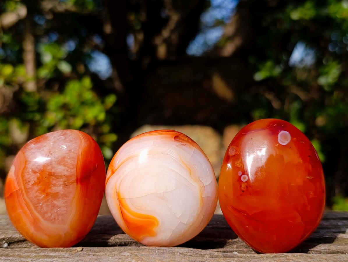Polished Carnelian Agate Gemstone Galets x 31 From Madagascar - Toprock Gemstones and Minerals 
