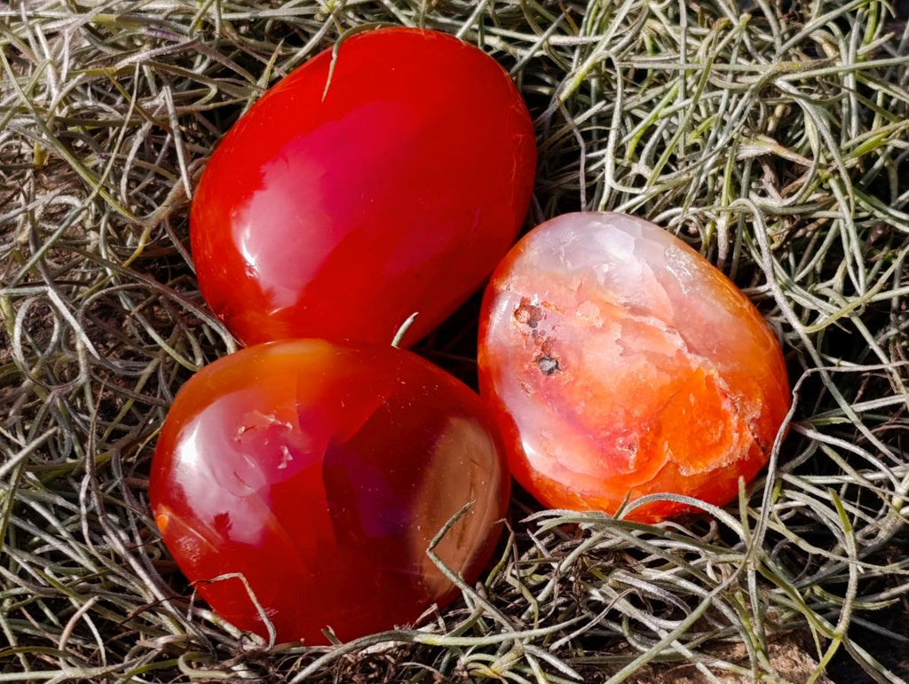 Polished Carnelian Agate Gemstone Galets x 31 From Madagascar - Toprock Gemstones and Minerals 