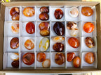 Polished Carnelian Agate Gemstone Galets x 31 From Madagascar - Toprock Gemstones and Minerals 