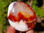 Polished Carnelian Agate Gemstone Galets x 31 From Madagascar - Toprock Gemstones and Minerals 