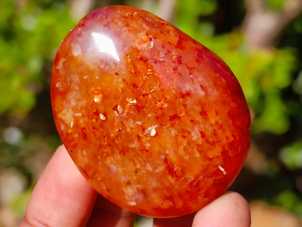 Polished Carnelian Agate Gemstone Galets x 31 From Madagascar - Toprock Gemstones and Minerals 