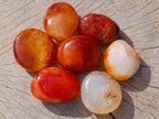 Polished Carnelian Agate Gemstone Galets x 31 From Madagascar - Toprock Gemstones and Minerals 