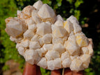 Natural Multi Mineral Specimens x 6 From Southern Africa - Toprock Gemstones and Minerals 
