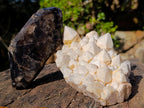 Natural Multi Mineral Specimens x 6 From Southern Africa - Toprock Gemstones and Minerals 