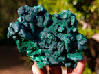 Natural Cabinet Silky Malachite Specimens x 2 From Kasompe, Congo - Toprock Gemstones and Minerals 