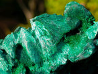 Natural Cabinet Silky Malachite Specimens x 2 From Kasompe, Congo - Toprock Gemstones and Minerals 
