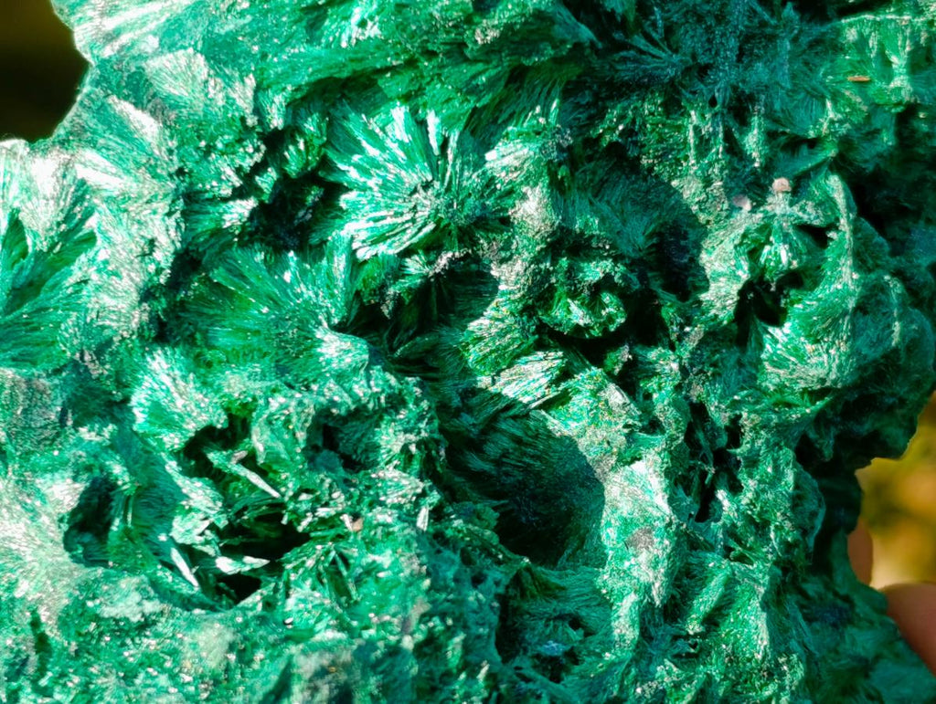 Natural Cabinet Silky Malachite Specimens x 2 From Kasompe, Congo - Toprock Gemstones and Minerals 
