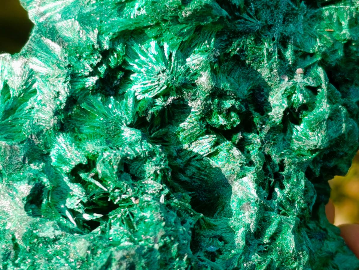 Natural Cabinet Silky Malachite Specimens x 2 From Kasompe, Congo - Toprock Gemstones and Minerals 