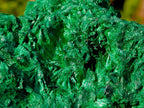 Natural Cabinet Silky Malachite Specimens x 2 From Kasompe, Congo - Toprock Gemstones and Minerals 