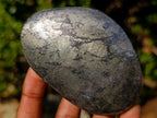 Polished Basalt Pharaoh Stone Galets x 6 From Iron Duke Mine, Zimbabwe - Toprock Gemstones and Minerals 