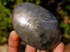 Polished Basalt Pharaoh Stone Galets x 6 From Iron Duke Mine, Zimbabwe - Toprock Gemstones and Minerals 