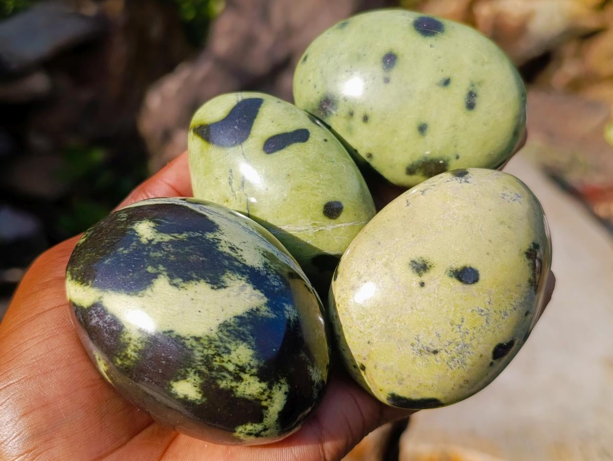 Polished Leopard Stone Palm Stones x 12 From Zimbabwe - Toprock Gemstones and Minerals 