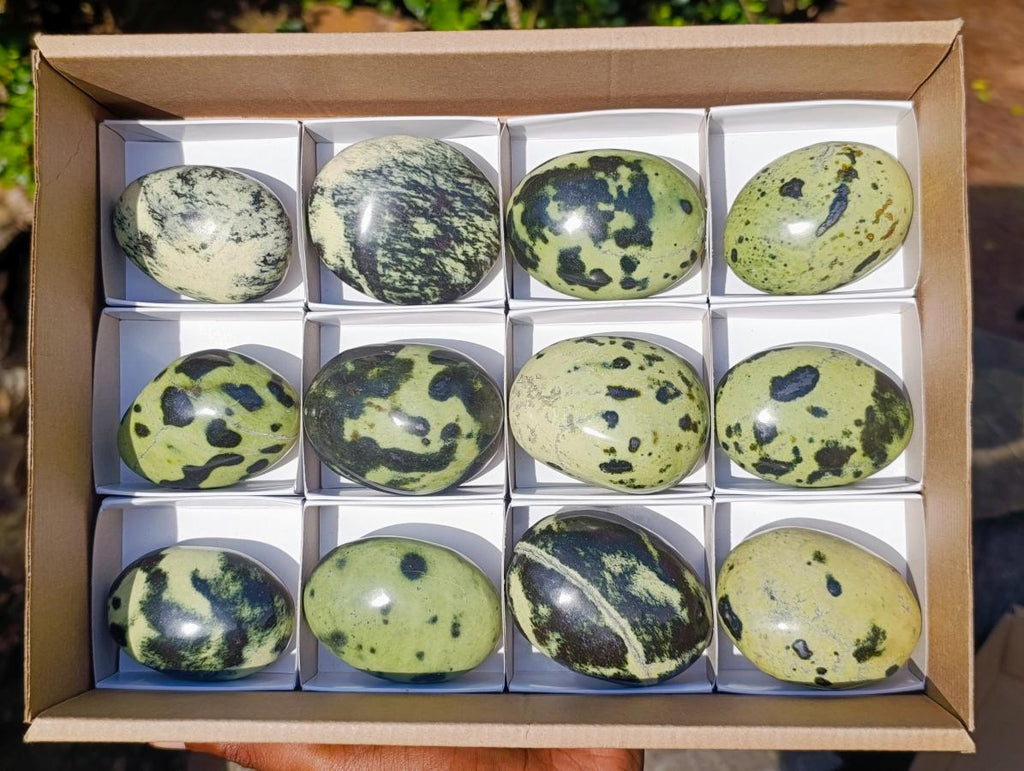 Polished Leopard Stone Palm Stones x 12 From Zimbabwe - Toprock Gemstones and Minerals 
