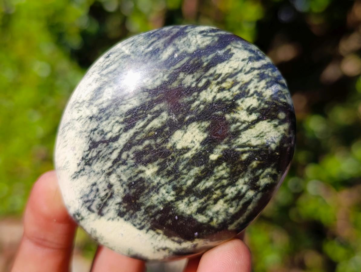 Polished Leopard Stone Palm Stones x 12 From Zimbabwe - Toprock Gemstones and Minerals 
