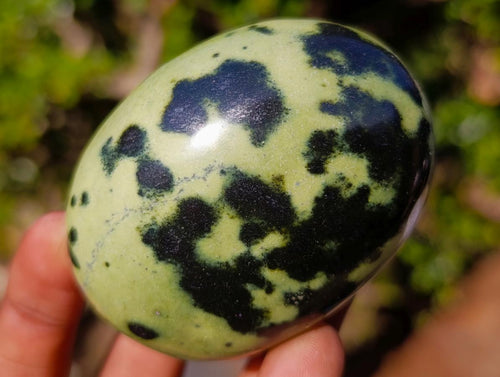 Polished Leopard Stone Palm Stones x 12 From Zimbabwe - Toprock Gemstones and Minerals 