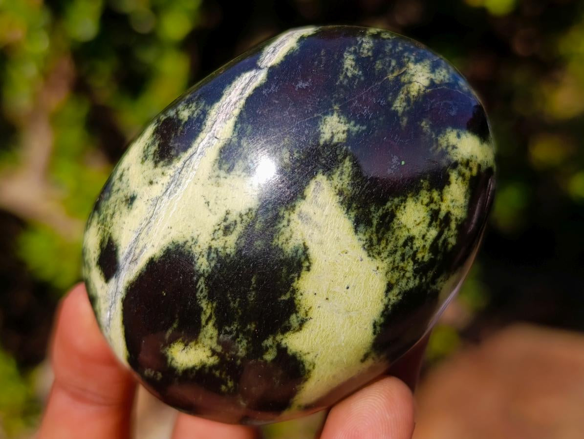 Polished Leopard Stone Palm Stones x 12 From Zimbabwe - Toprock Gemstones and Minerals 