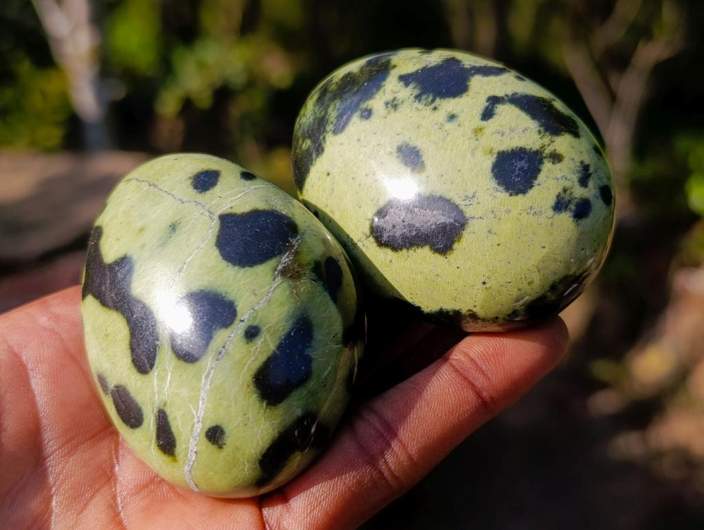 Polished Leopard Stone Palm Stones x 12 From Zimbabwe - Toprock Gemstones and Minerals 