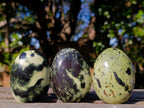 Polished Leopard Stone Palm Stones x 12 From Zimbabwe - Toprock Gemstones and Minerals 