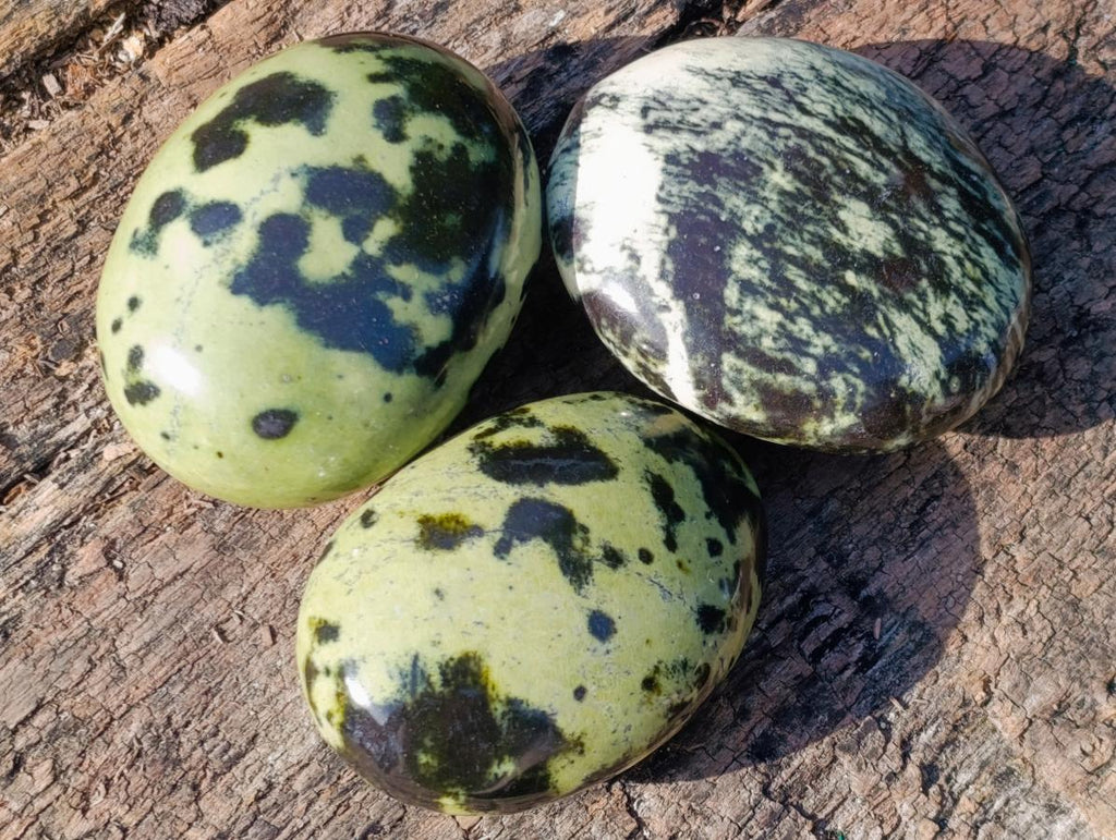 Polished Leopard Stone Palm Stones x 12 From Zimbabwe - Toprock Gemstones and Minerals 