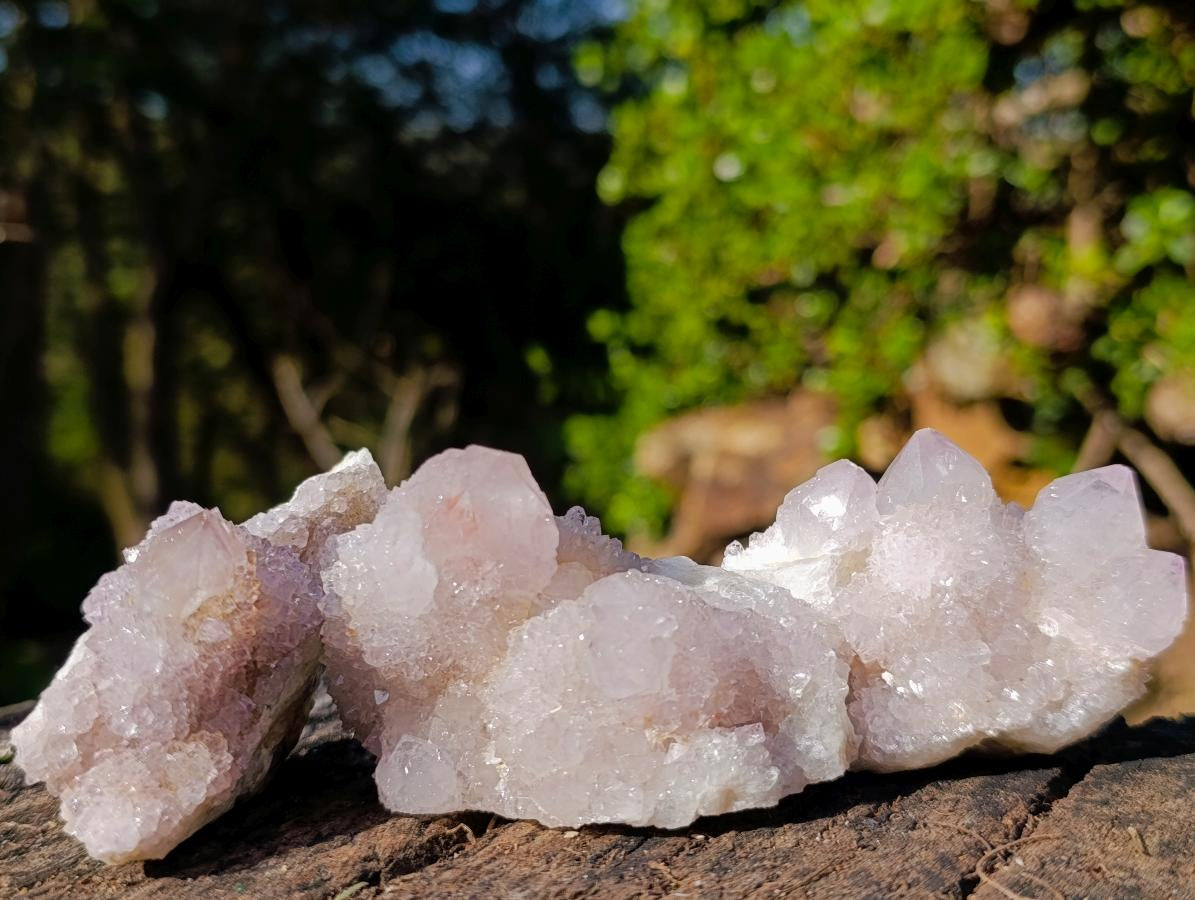 Natural Mixed Smokey and Amethyst Spirit Quartz Crystal Clusters x 12 From Boekenhouthoek, South Africa - Toprock Gemstones and Minerals 