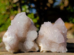 Natural Mixed Smokey and Amethyst Spirit Quartz Crystal Clusters x 12 From Boekenhouthoek, South Africa - Toprock Gemstones and Minerals 