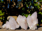 Natural Mixed Smokey and Amethyst Spirit Quartz Crystal Clusters x 12 From Boekenhouthoek, South Africa - Toprock Gemstones and Minerals 