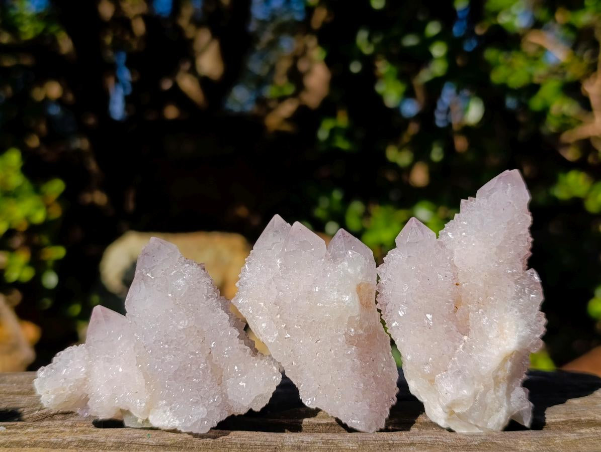 Natural Mixed Smokey and Amethyst Spirit Quartz Crystal Clusters x 12 From Boekenhouthoek, South Africa - Toprock Gemstones and Minerals 