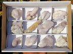 Natural Mixed Smokey and Amethyst Spirit Quartz Crystal Clusters x 12 From Boekenhouthoek, South Africa - Toprock Gemstones and Minerals 
