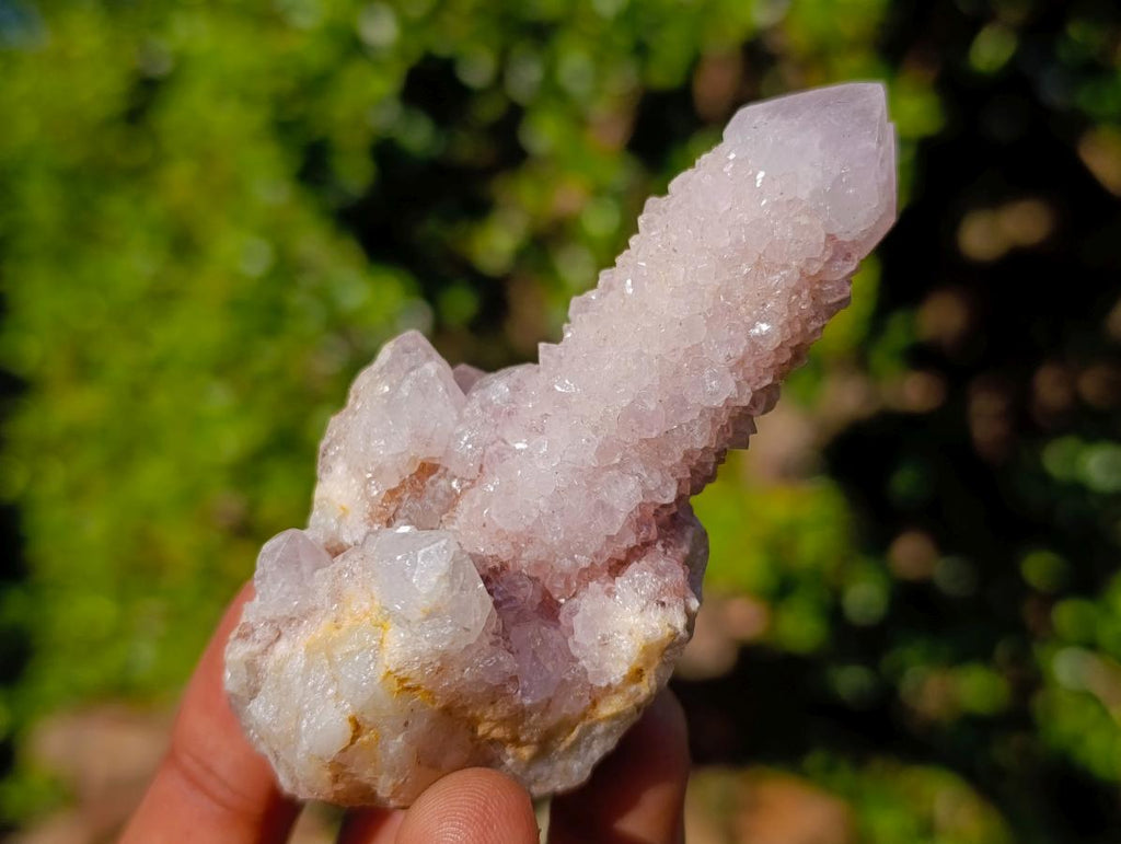 Natural Mixed Smokey and Amethyst Spirit Quartz Crystal Clusters x 12 From Boekenhouthoek, South Africa - Toprock Gemstones and Minerals 