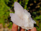 Natural Mixed Smokey and Amethyst Spirit Quartz Crystal Clusters x 12 From Boekenhouthoek, South Africa - Toprock Gemstones and Minerals 