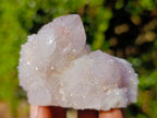 Natural Mixed Smokey and Amethyst Spirit Quartz Crystal Clusters x 12 From Boekenhouthoek, South Africa - Toprock Gemstones and Minerals 