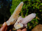Natural Mixed Smokey and Amethyst Spirit Quartz Crystal Clusters x 12 From Boekenhouthoek, South Africa - Toprock Gemstones and Minerals 