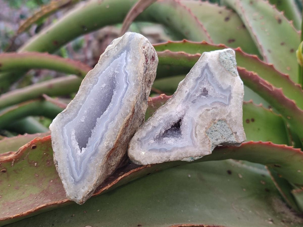 Polished On One Side Blue Lace Agate Geodes x 19 From Nsanje, Malawi - Toprock Gemstones and Minerals 