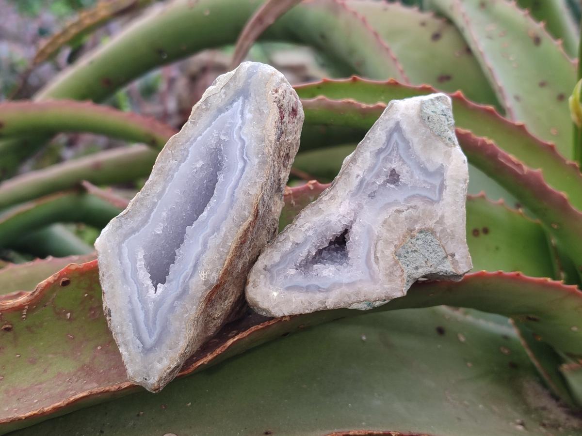 Polished On One Side Blue Lace Agate Geodes x 19 From Nsanje, Malawi - Toprock Gemstones and Minerals 