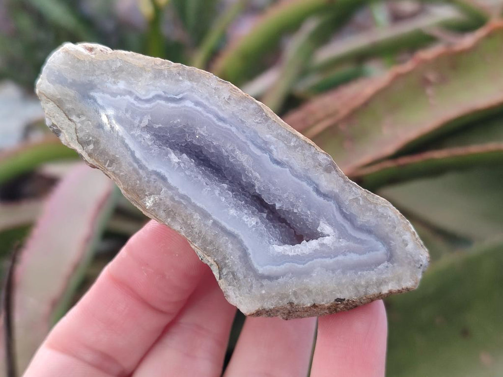 Polished On One Side Blue Lace Agate Geodes x 19 From Nsanje, Malawi - Toprock Gemstones and Minerals 