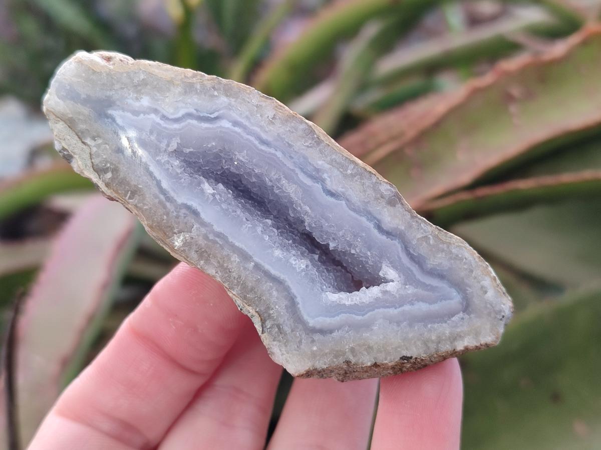 Polished On One Side Blue Lace Agate Geodes x 19 From Nsanje, Malawi - Toprock Gemstones and Minerals 