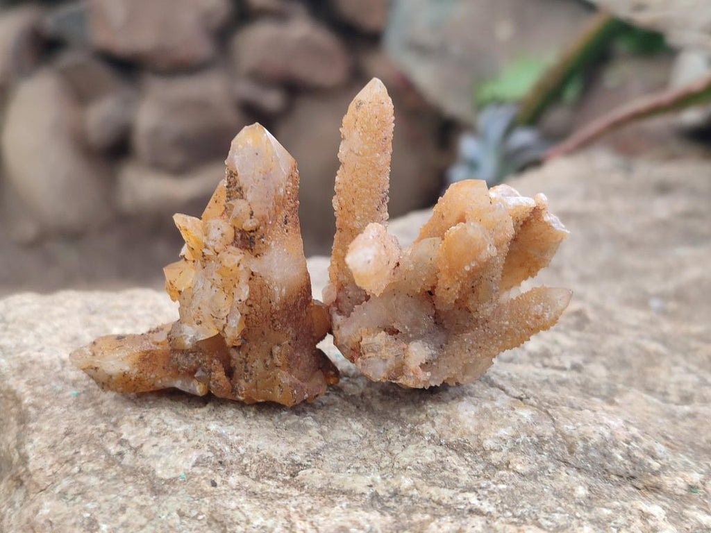 Natural Golden Limonite Spirit Quartz Crystals x 71 From Boekenhouthoek, South Africa - Toprock Gemstones and Minerals 