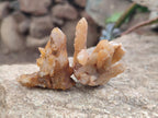 Natural Golden Limonite Spirit Quartz Crystals x 71 From Boekenhouthoek, South Africa - Toprock Gemstones and Minerals 