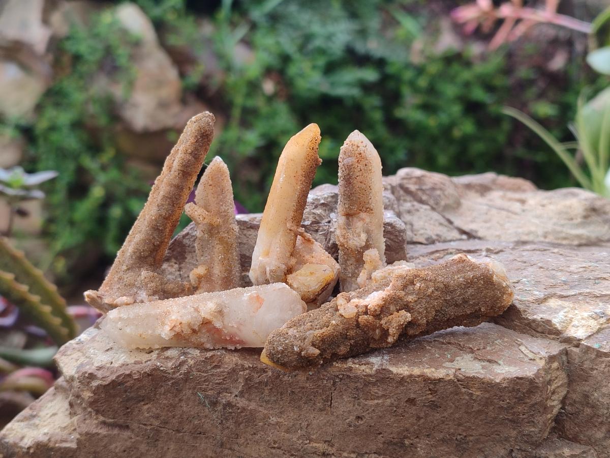 Natural Golden Limonite Spirit Quartz Crystals x 71 From Boekenhouthoek, South Africa - Toprock Gemstones and Minerals 