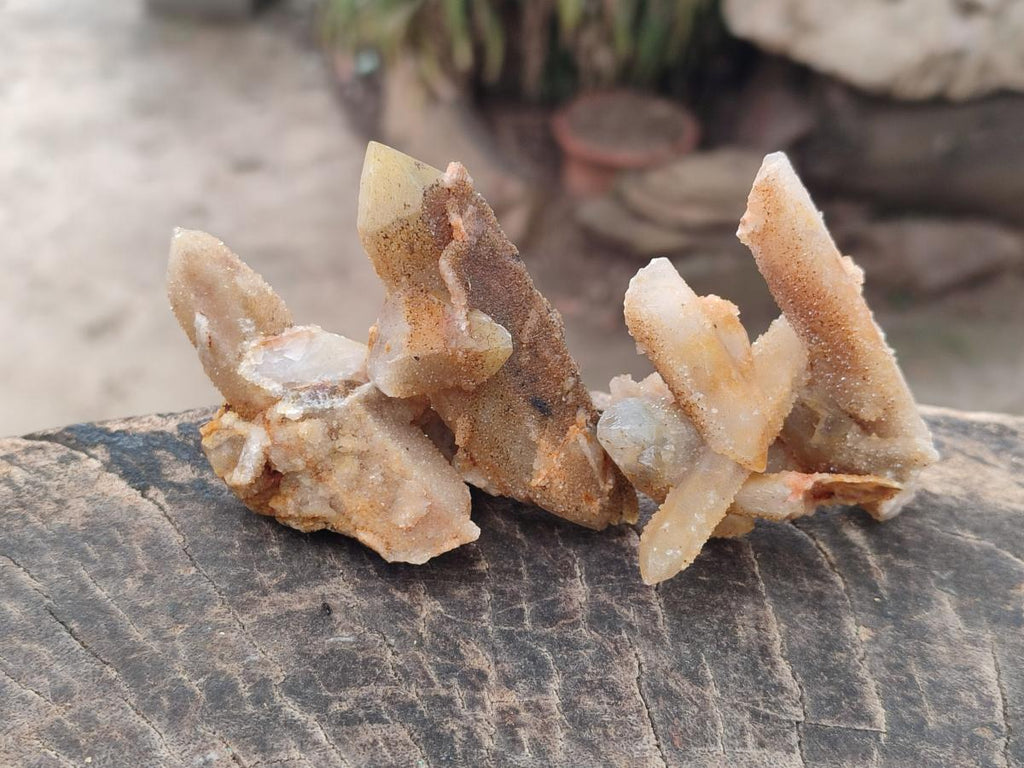 Natural Golden Limonite Spirit Quartz Crystals x 71 From Boekenhouthoek, South Africa - Toprock Gemstones and Minerals 