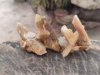 Natural Golden Limonite Spirit Quartz Crystals x 71 From Boekenhouthoek, South Africa - Toprock Gemstones and Minerals 