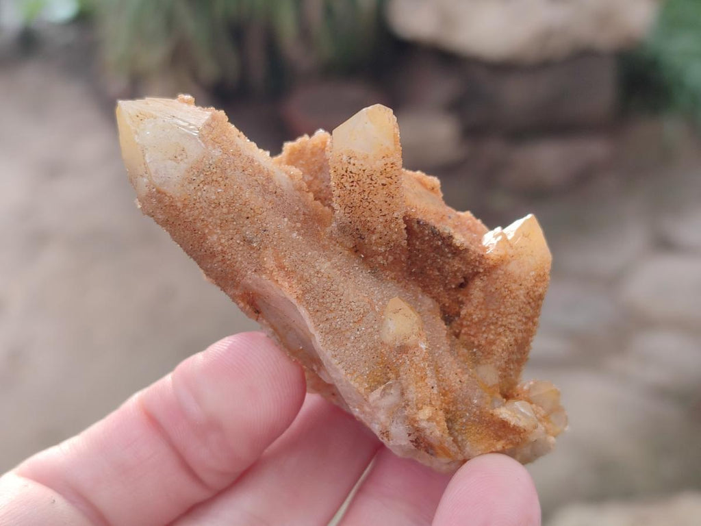 Natural Golden Limonite Spirit Quartz Crystals x 71 From Boekenhouthoek, South Africa - Toprock Gemstones and Minerals 