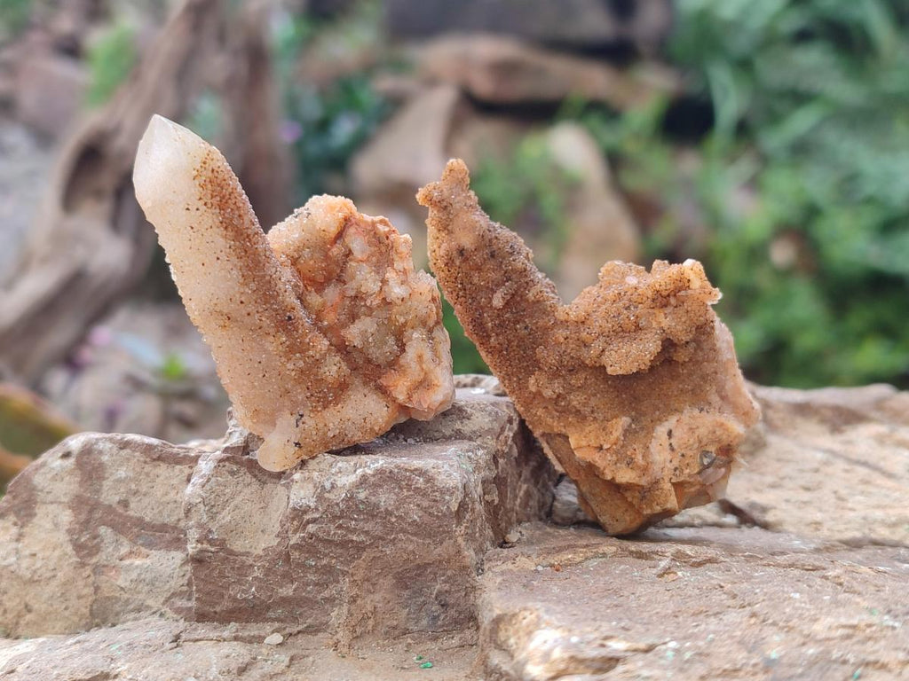 Natural Golden Limonite Spirit Quartz Crystals x 71 From Boekenhouthoek, South Africa - Toprock Gemstones and Minerals 