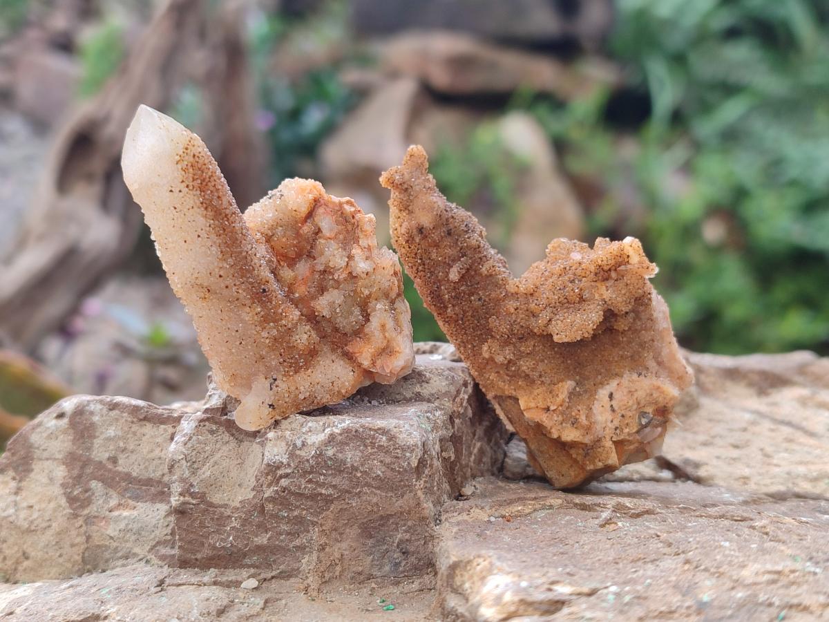 Natural Golden Limonite Spirit Quartz Crystals x 71 From Boekenhouthoek, South Africa - Toprock Gemstones and Minerals 