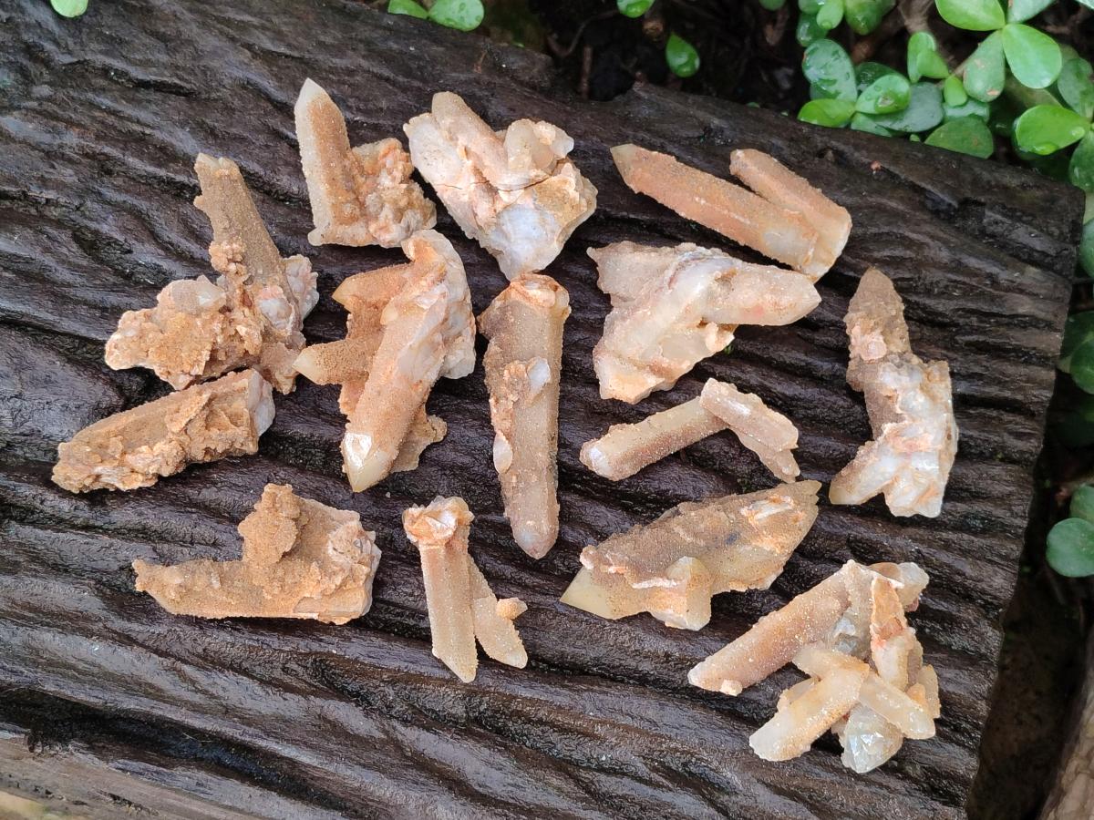 Natural Golden Limonite Spirit Quartz Crystals x 71 From Boekenhouthoek, South Africa - Toprock Gemstones and Minerals 