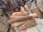 Natural Golden Limonite Spirit Quartz Crystals x 71 From Boekenhouthoek, South Africa - Toprock Gemstones and Minerals 