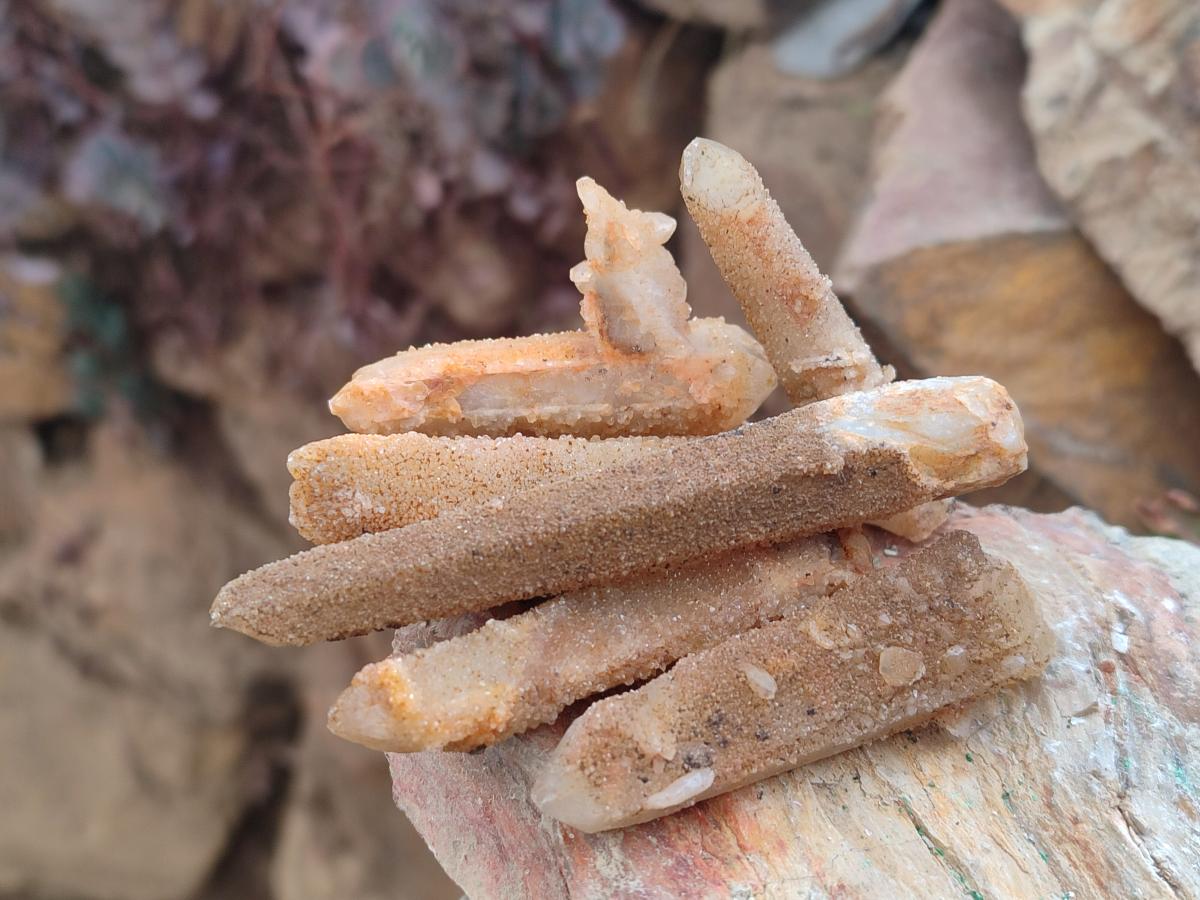 Natural Golden Limonite Spirit Quartz Crystals x 71 From Boekenhouthoek, South Africa - Toprock Gemstones and Minerals 