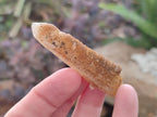 Natural Golden Limonite Spirit Quartz Crystals x 71 From Boekenhouthoek, South Africa - Toprock Gemstones and Minerals 