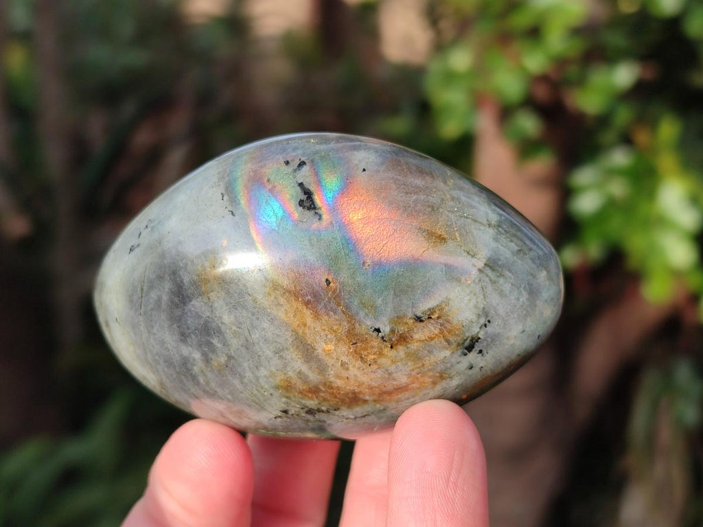 Polished Mixed Multi Mineral Galets x 12 From Madagascar - Toprock Gemstones and Minerals 